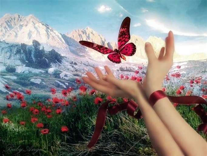 Женское счастье - Палиенко (вебинар)_0.jpg